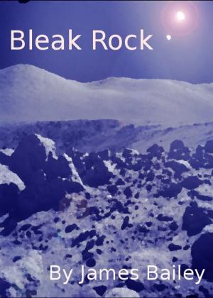 Cover of the book Bleak Rock by Hayden Chance