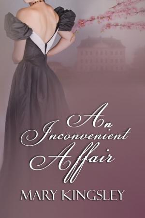 Book cover of An Inconvenient Affair