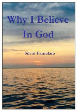 bigCover of the book Why I Believe in God by 