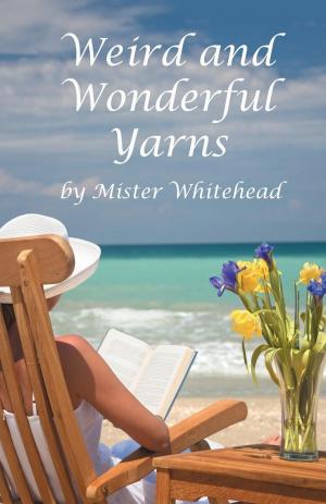 Cover of the book Weird and Wonderful Yarns by Joseph Stanley