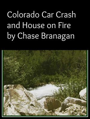 Cover of the book Colorado Car Crash/House on Fire by Raye Morgan
