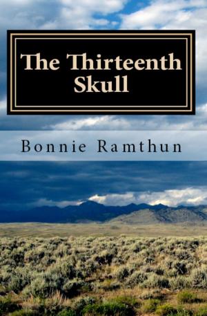 bigCover of the book The Thirteenth Skull by 