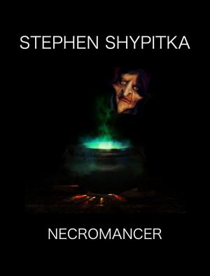 Cover of the book Necromancer by Stephen Shypitka