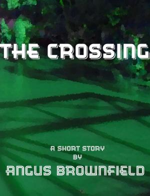 Book cover of The Crossing, a short story