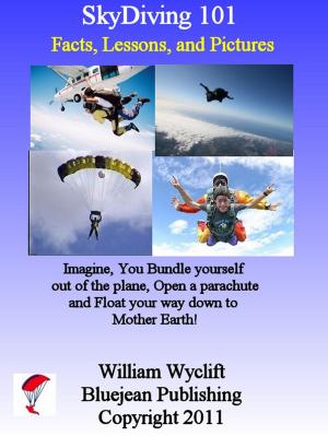 Cover of the book SkyDiving 101: Facts, Lessons, and Pictures by Hannes Trustan
