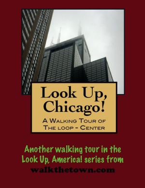 Book cover of Look Up, Chicago! A Walking Tour of The Loop (Center)