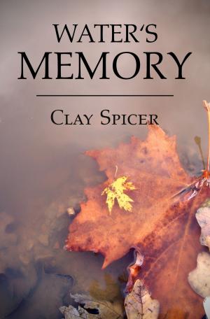 Cover of the book Water's Memory by Zita Weber