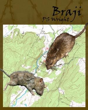 Book cover of Braji