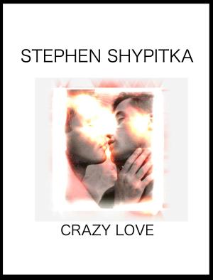 Cover of the book Crazy Love by Stephen Shypitka