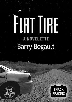 Book cover of Flat Tire