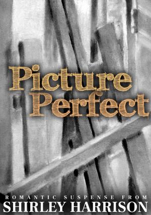 Cover of the book Picture Perfect by Larissa Reinhart