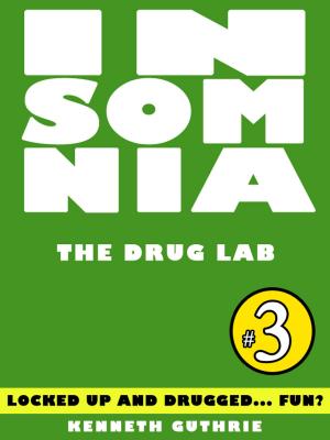 Cover of the book Insomnia 3: The Drug Lab by Fanny May Cartwright