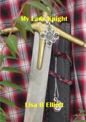 Cover of the book My Lady Knight by D. D. Story