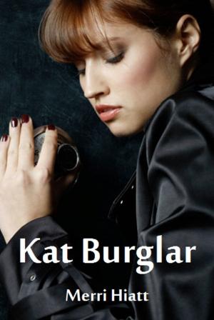 Cover of the book Kat Burglar by Laurie Ryan