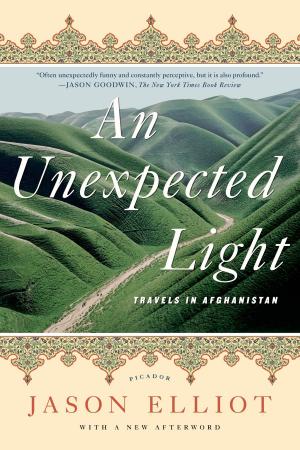 bigCover of the book An Unexpected Light by 