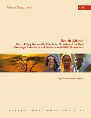 Cover of the book South Africa: Macro Policy Mix and Its Effects on Growth and the Real Exchange Rate--Empirical Evidence and GIMF Simulations by Harm Mr. Zebregs