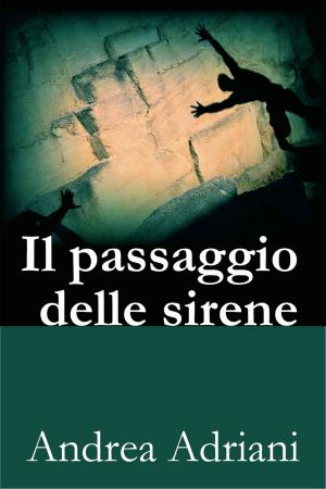 Cover of the book Il passaggio delle sirene by Kty d'O