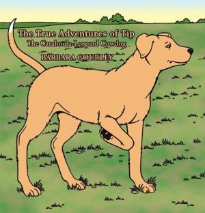 Cover of the book The True Adventures of Tip the Catahoula-Leopard Cowdog by Sonny Allen