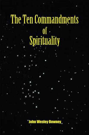 Cover of the book The Ten Commandments of Spirituality by Bridzette Chappelle