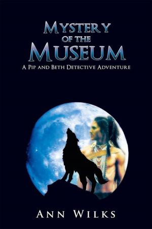 Cover of the book Mystery of the Museum by D.W. Anthony