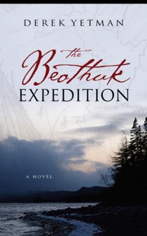 Cover of the book The Beothuk Expedition by Nina-Gai Till