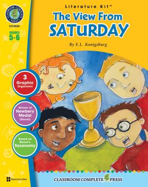 Cover of the book The View From Saturday - Literature Kit Gr. 5-6 by Mary Rosenberg