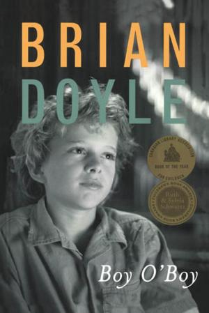 Cover of the book Boy O'Boy by Brian Doyle