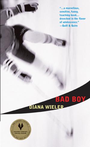 Cover of the book Bad Boy by Deborah Ellis