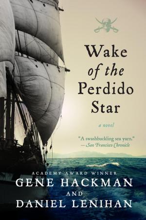 Cover of the book Wake of the Perdido Star by Gerald Lane Summers