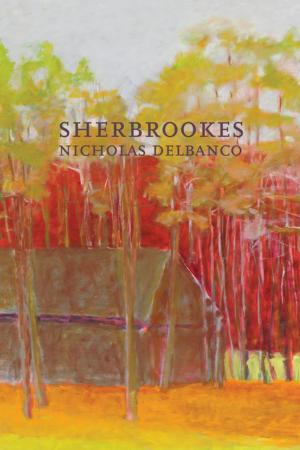 Cover of the book Sherbrookes by Steven Millhauser