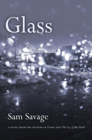 Cover of the book Glass by Gabe Habash