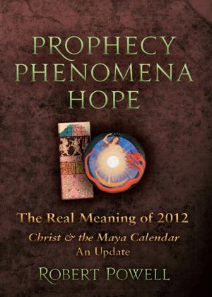Cover of the book Prophecy - Phenomena - Hope by Valentin Tomberg; R.H. Bruce