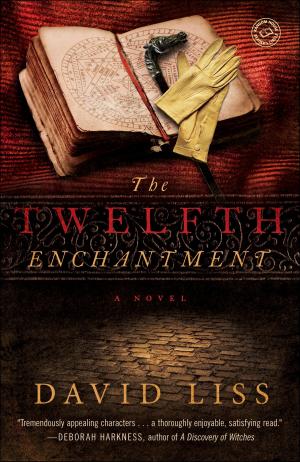 Cover of the book The Twelfth Enchantment by Jackie Ashenden