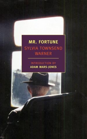 Cover of the book Mr. Fortune by Teffi