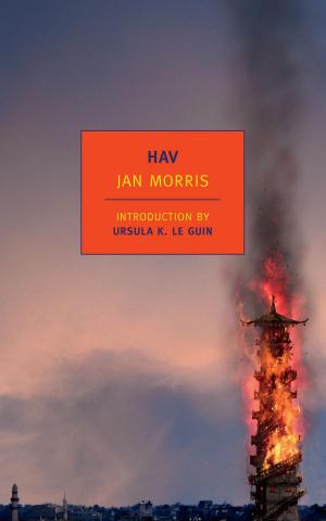 Cover of the book Hav by Hugh Aaron