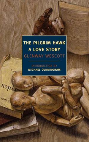 Cover of the book The Pilgrim Hawk by David Mendel