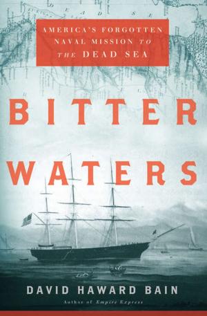 Cover of the book Bitter Waters by Robert Lloyd George