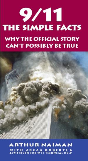 Cover of the book 9/11: The Simple Facts by Rajiv Joseph