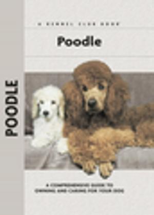 Cover of the book Poodle by Bardi McLennan