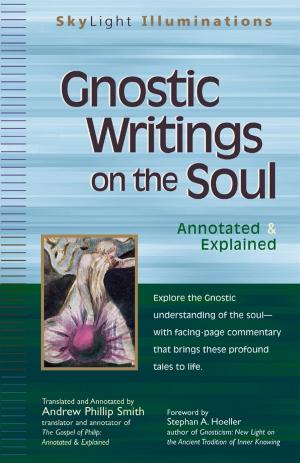 Cover of the book Gnostic Writings on the Soul by Bob Riter