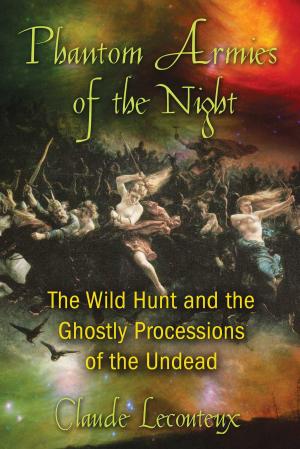 Book cover of Phantom Armies of the Night