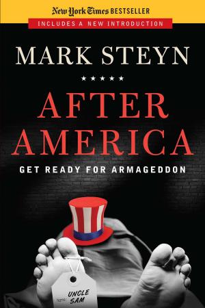 Book cover of After America