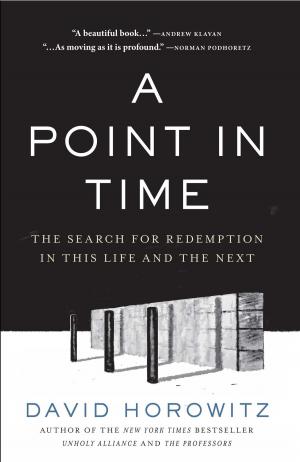 Cover of the book A Point in Time by David Horowitz