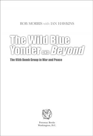 Cover of The Wild Blue Yonder and Beyond: The 95th Bomb Group in War and Peace