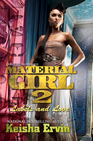 Cover of the book Material Girl 2: by Monique L. Miller