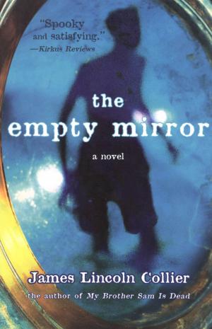 Cover of the book The Empty Mirror by J.C. Masterman