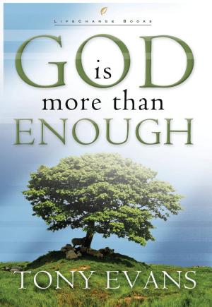 Book cover of God Is More Than Enough