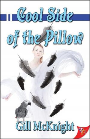 Cover of the book Cool Side of the Pillow by Jan Suzukawa
