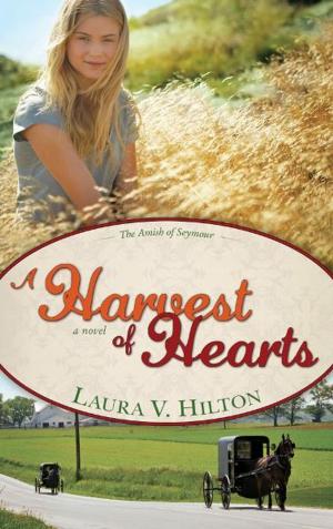 Cover of the book Harvest Of Hearts by Sue Curran