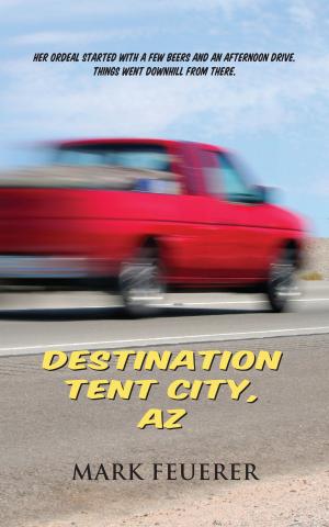Cover of the book Destination Tent City, AZ by Dennis Milam Bensie